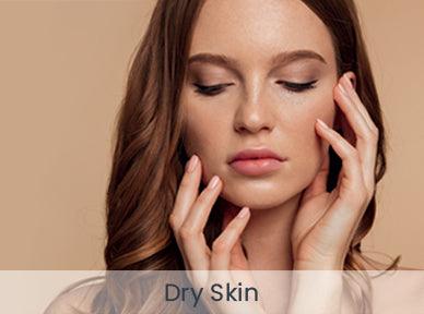 files/Webstore_Main-Page_388px-x-288px_Skin-Concern2_Dry-Skin.jpg